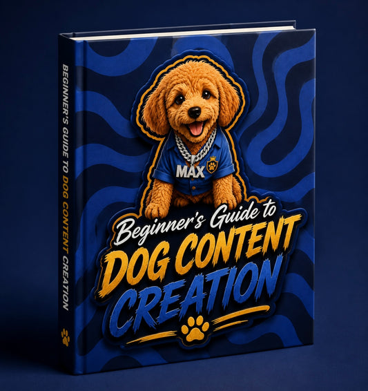 Beginner's Guide to Dog Content Creation